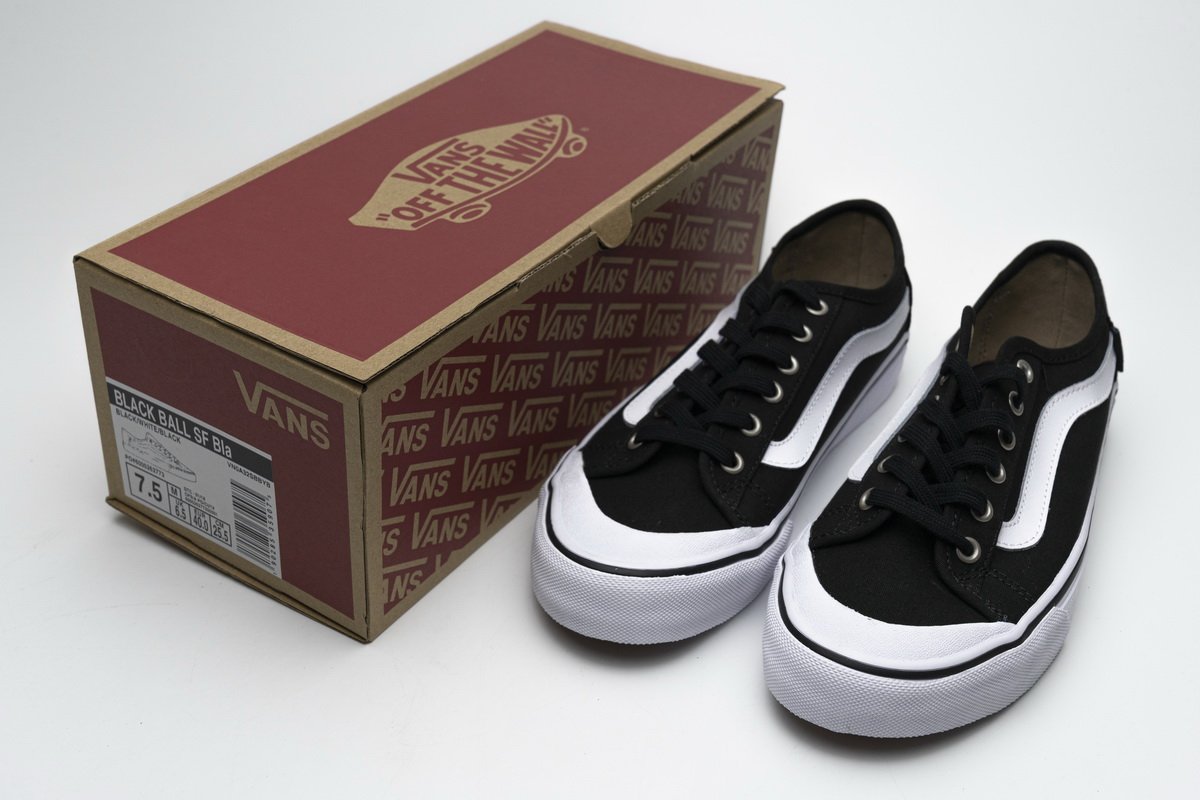 Vans Black Ball SF Bla VN0A32SBBYB
