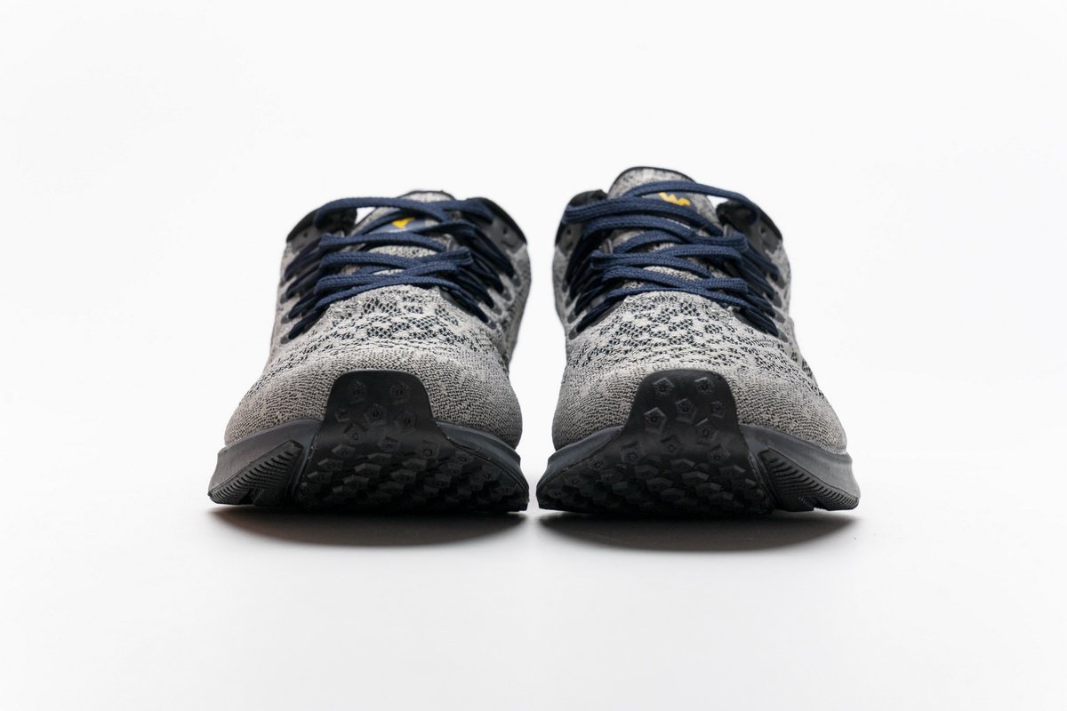 CI2085-001 Nike Air Zoom Pegasus 36 Grey Blue