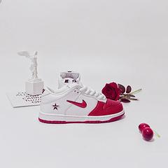 Nike Dunk SB Low White Red CK3480-600